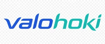 valohoki